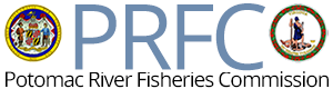 Potomac River Fisheries Commission Logo
